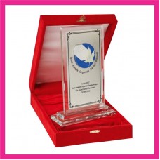 Cam Plaket